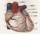 Cardiac  Intervention